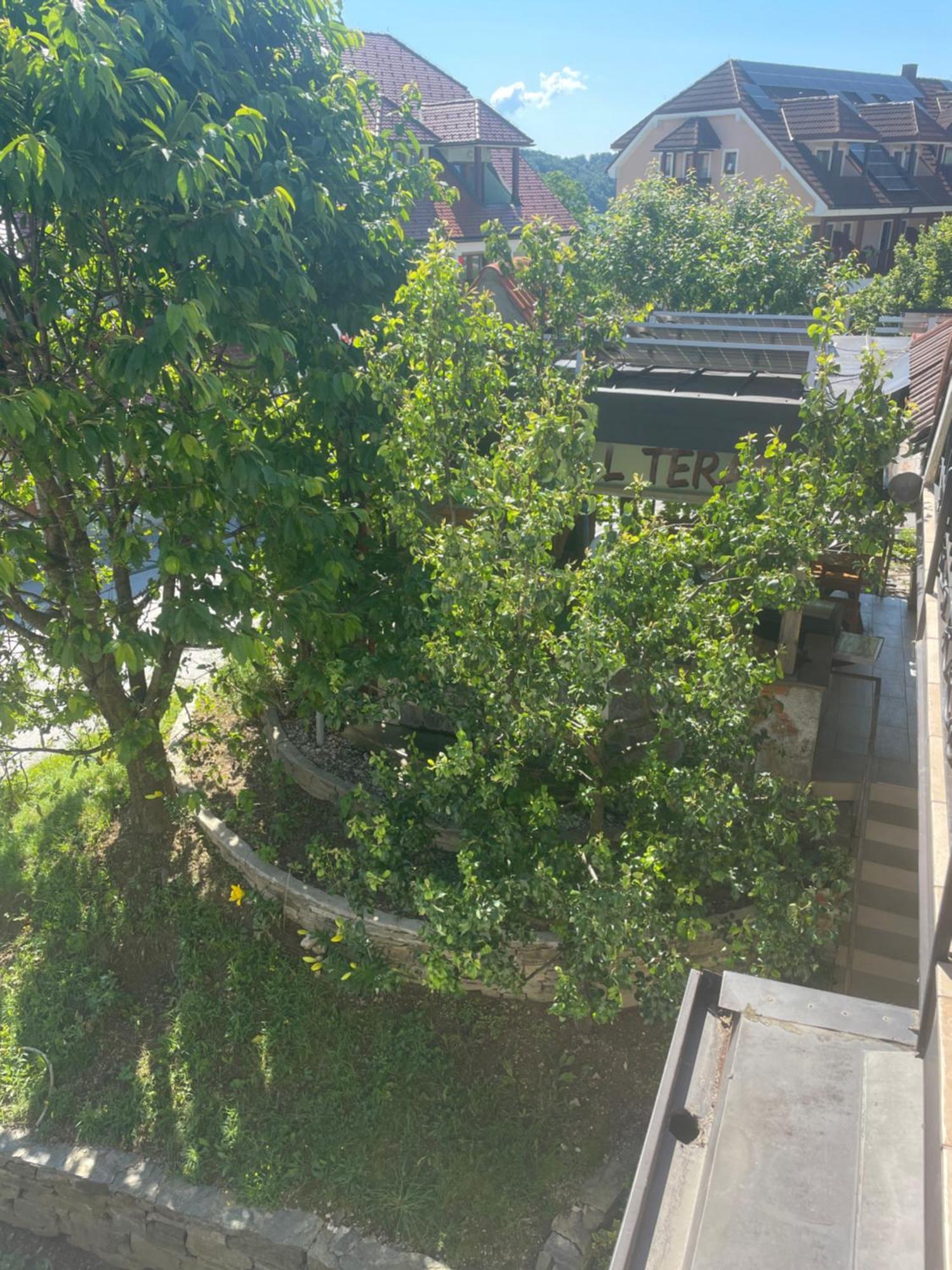 Guesthouse Jurcek Zreče Exterior foto